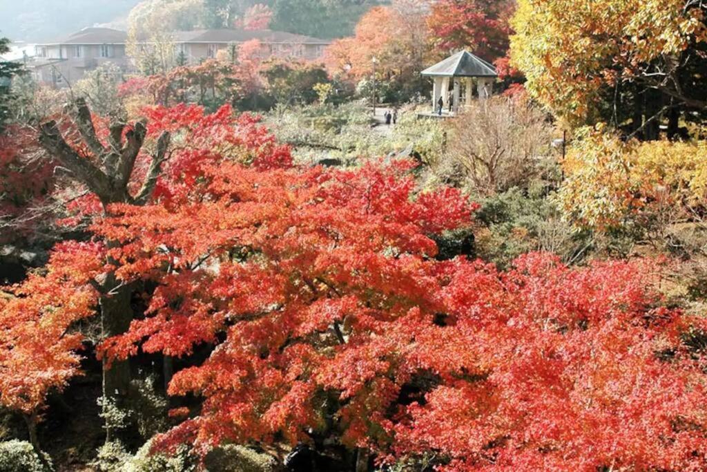 Forest Villa Hakone Ngoại thất bức ảnh